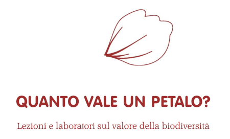 Quanto vale un petalo?
