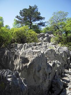 Carso paesaggio