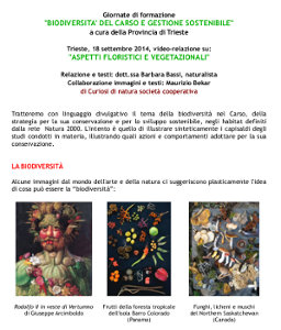 CDN relazione Biodinet