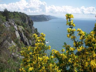 la costiera di Trieste, da Duino Aurisina