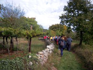 Un'escursione in Carso
