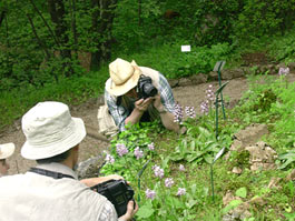 Naturalisti al giardino botanico
