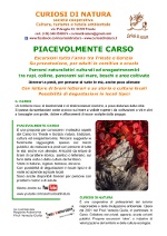 Download: Italiano