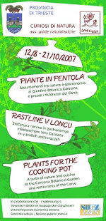 Piante in pentola: depliant